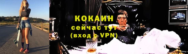 сатива Михайлов