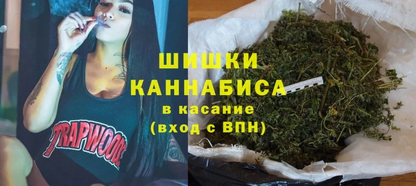 сатива Михайлов