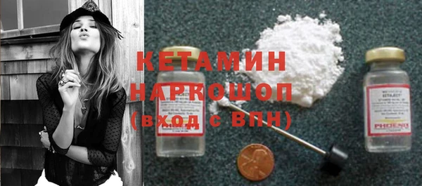 прущие грибы Михайловка