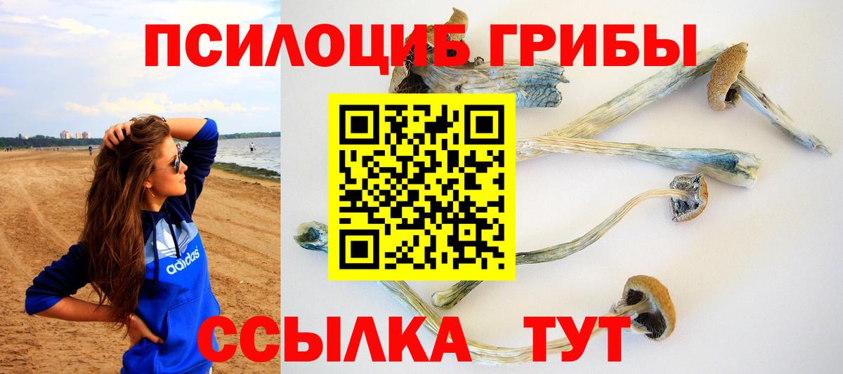 Галлюциногенные грибы Psilocybine cubensis Борисоглебск