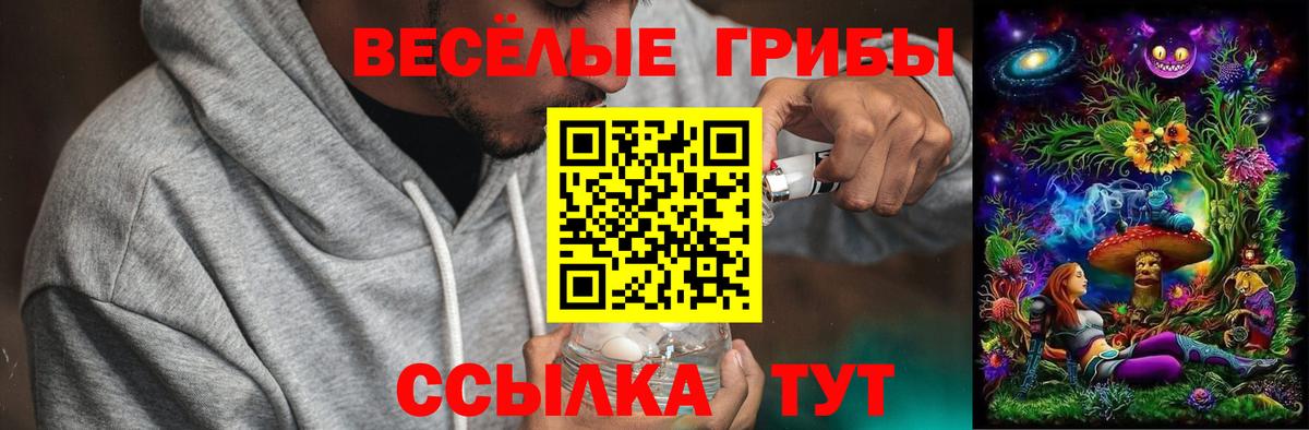 Псилоцибиновые грибы GOLDEN TEACHER  Галлюциногенные грибы Magic Shrooms  Борисоглебск  Вход с VPN 