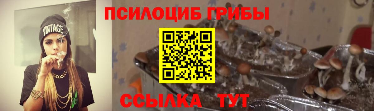 Галлюциногенные грибы Magic Shrooms  закладка  Борисоглебск  Галлюциногенные грибы прущие грибы 