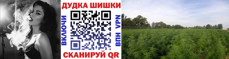 где купить Борисоглебск МАРИХУАНА индика